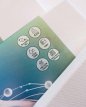 Gerecycleerd Polyester (rPet) - Standaard Gerecycleerd Polyester (rPet) - Standaard