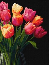 Tulip scent - 30cm x 40cm Tulip scent - 30cm x 40cm